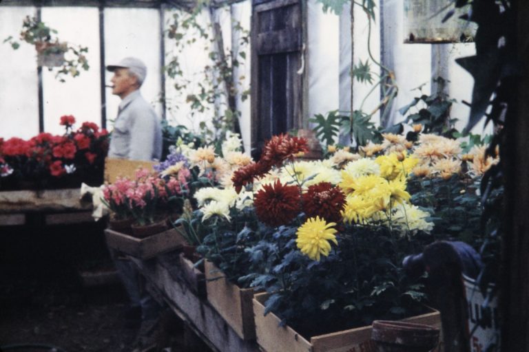 Jerome Gardening Greenhouse & Garden Center Moss Greenhouses
