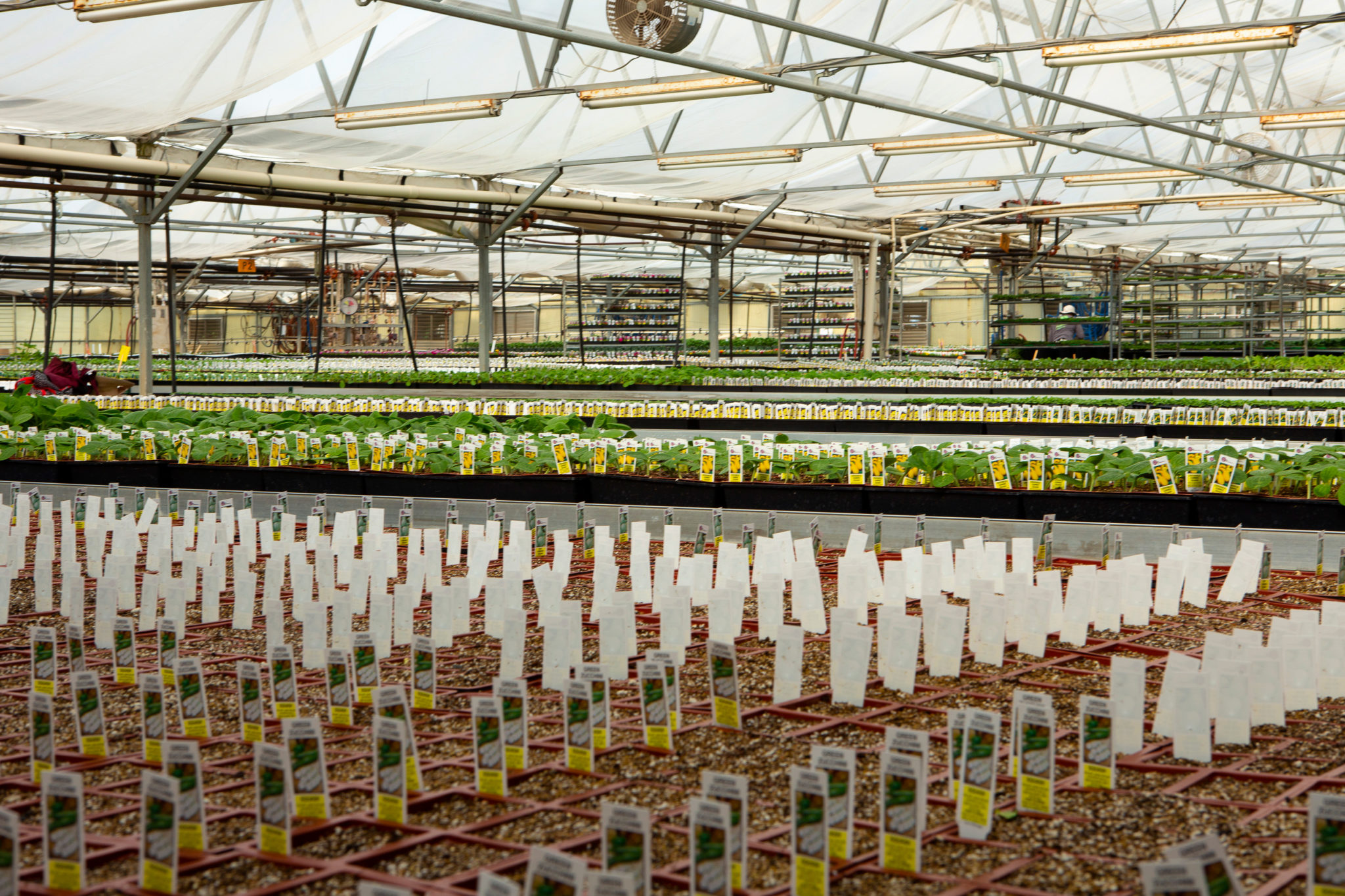 Jerome Gardening Greenhouse & Garden Center Moss Greenhouses