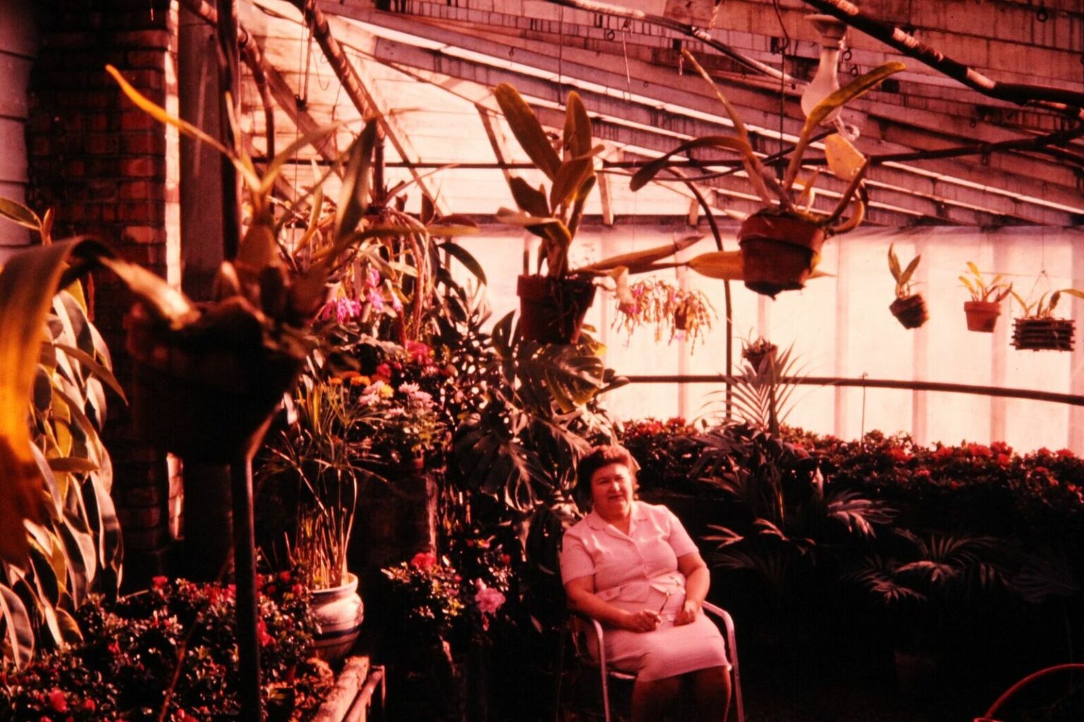 Jerome Gardening Greenhouse & Garden Center Moss Greenhouses