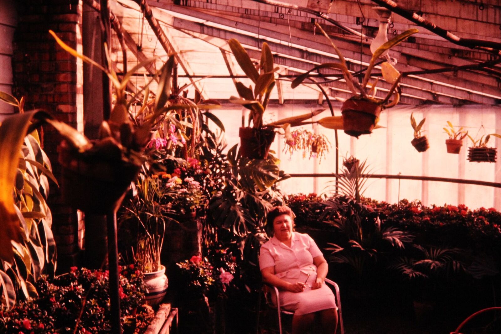 Jerome Gardening Greenhouse & Garden Center Moss Greenhouses