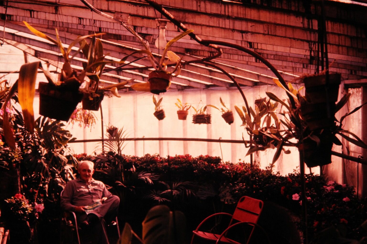 Jerome Gardening Greenhouse & Garden Center Moss Greenhouses