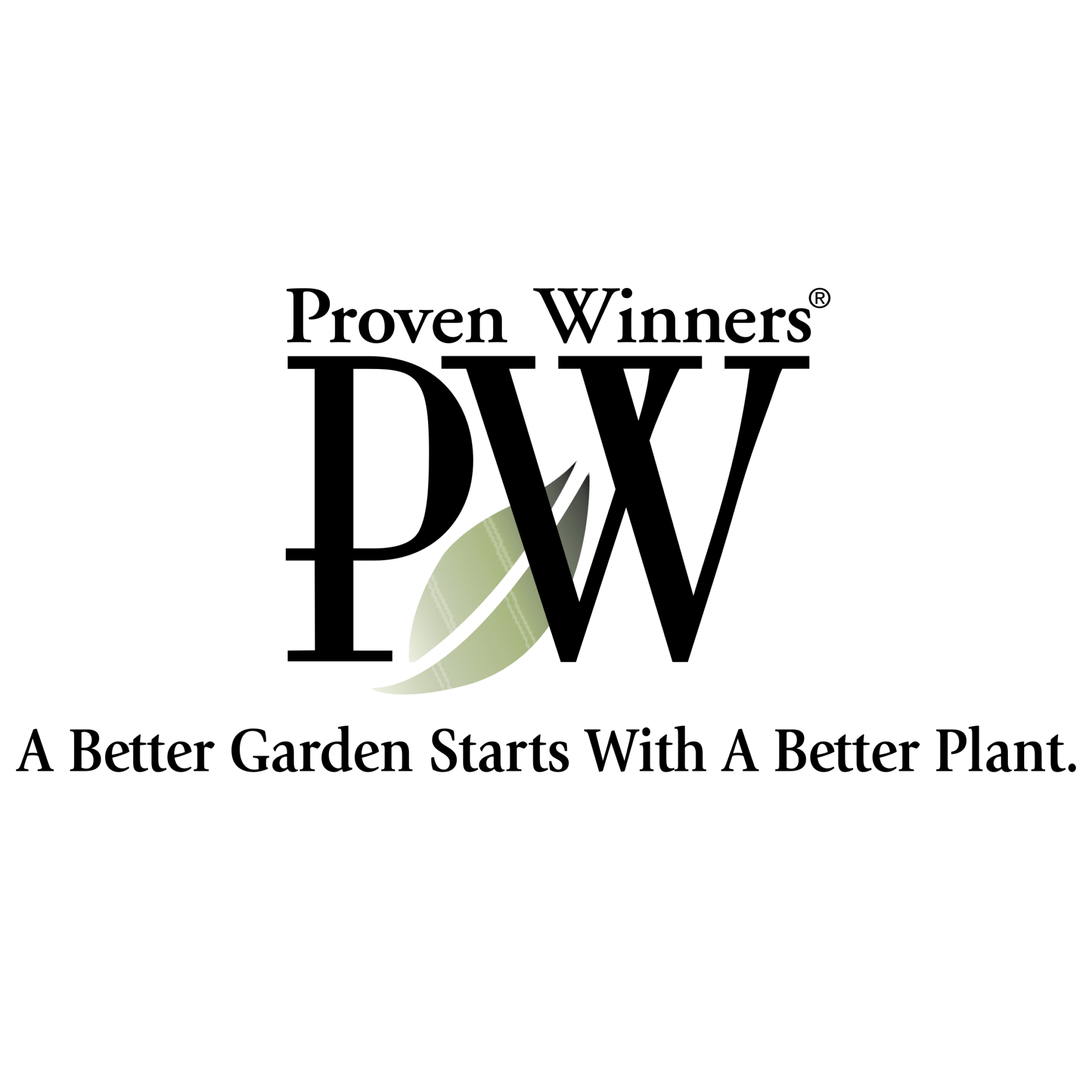 Colección Primaveral de Musgo Botánico de Winners