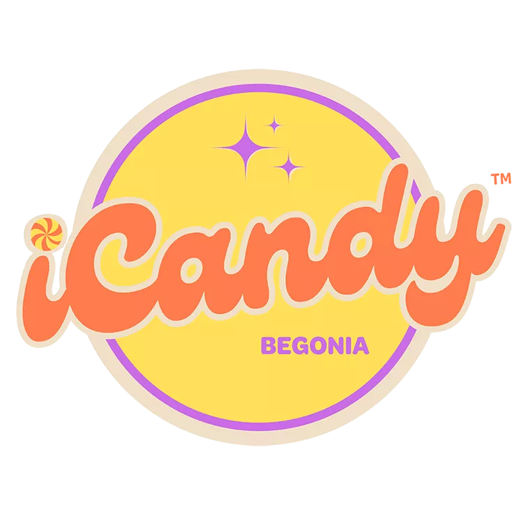 Begonia iCandy™ Inferno ~ New 2026 - Image 3